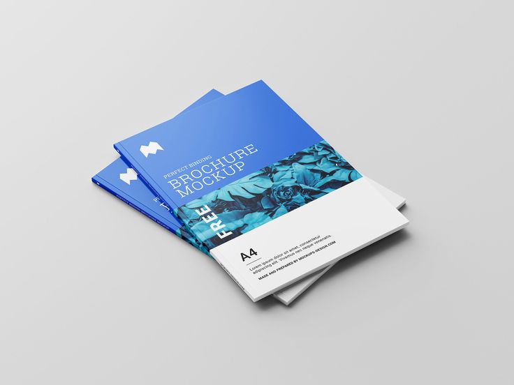 Flyer & Brochure Printing